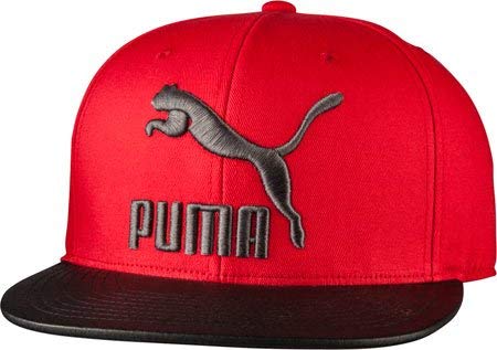 PUMA Men's Suede 110 Snapback