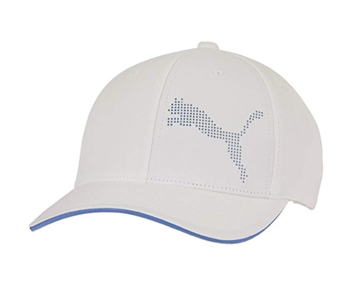 Puma Men's Performance Perforated Flexfit Hat